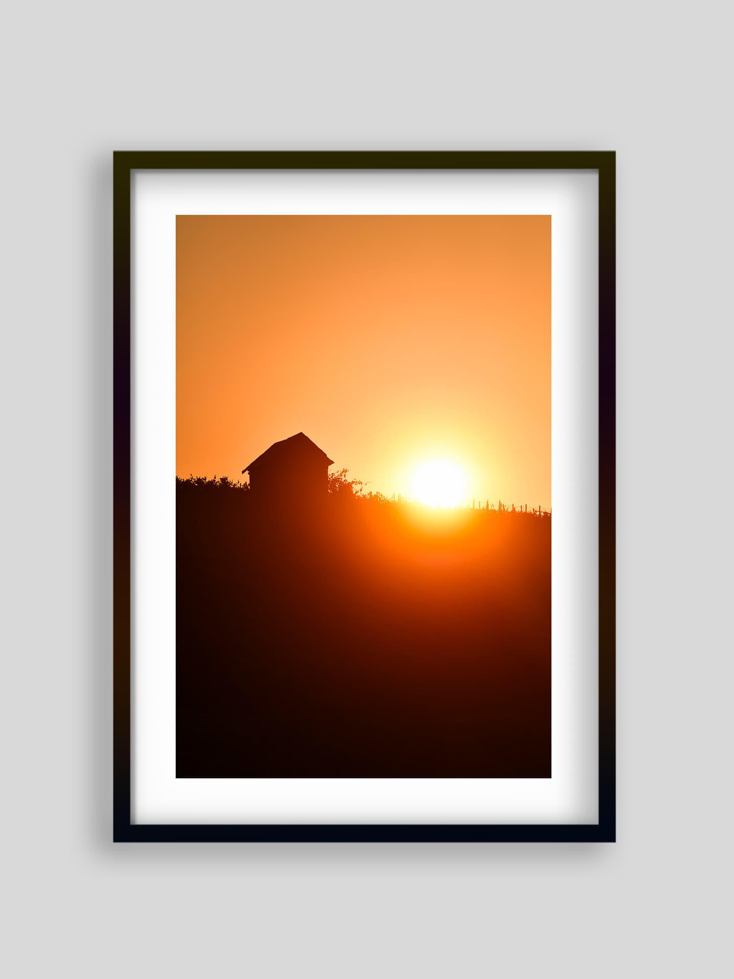 548 - Vignoble Contheysan