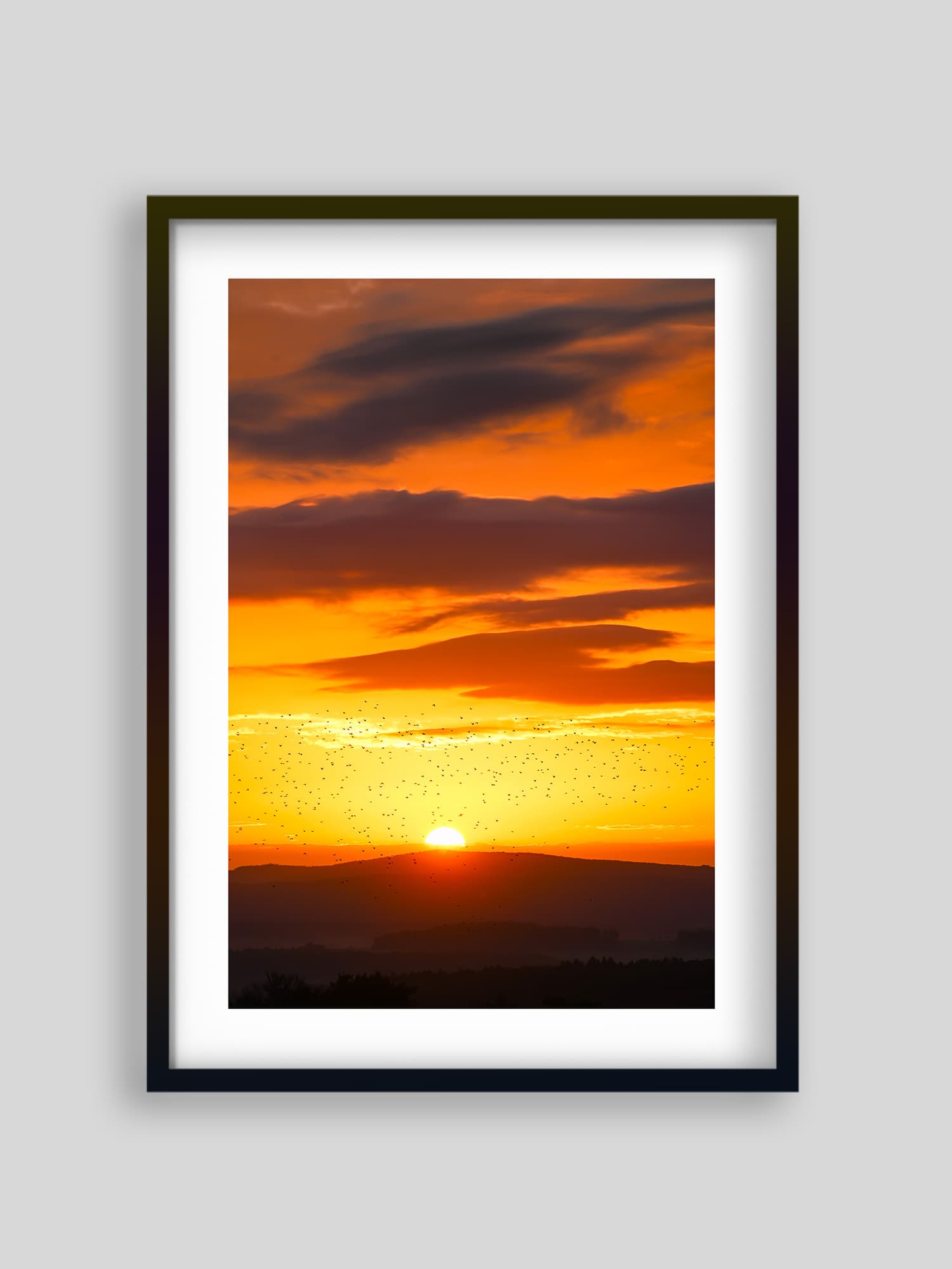 506 - Vol ensoleillé