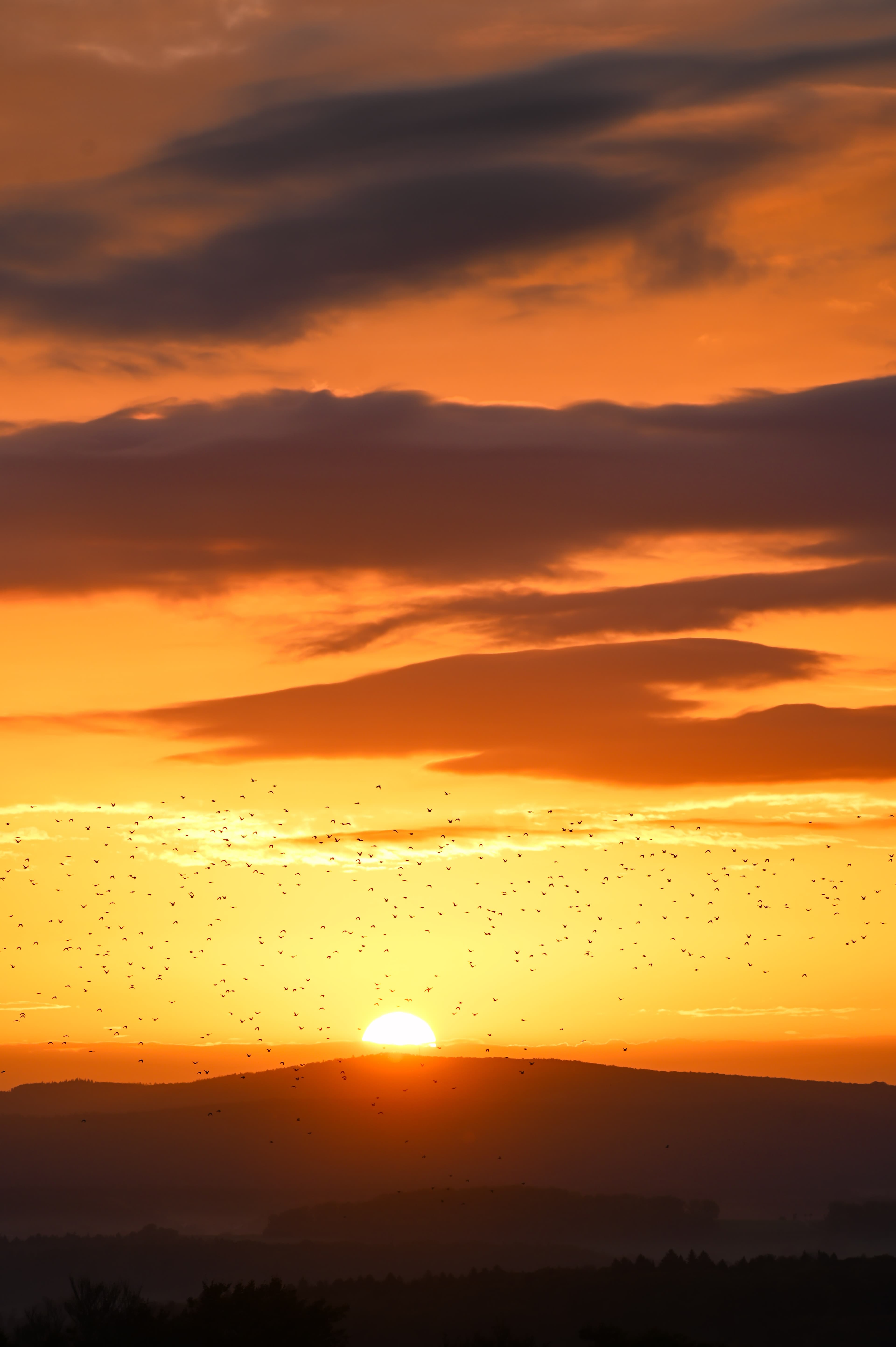 506 - Vol ensoleillé