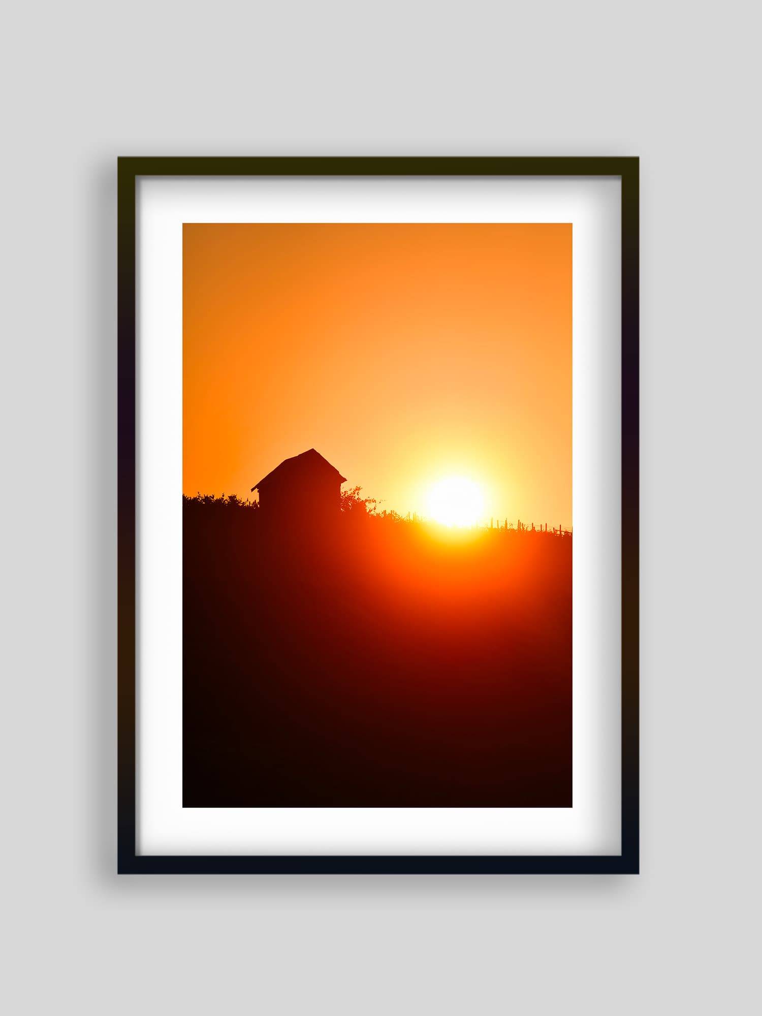 548 - Vignoble Contheysan