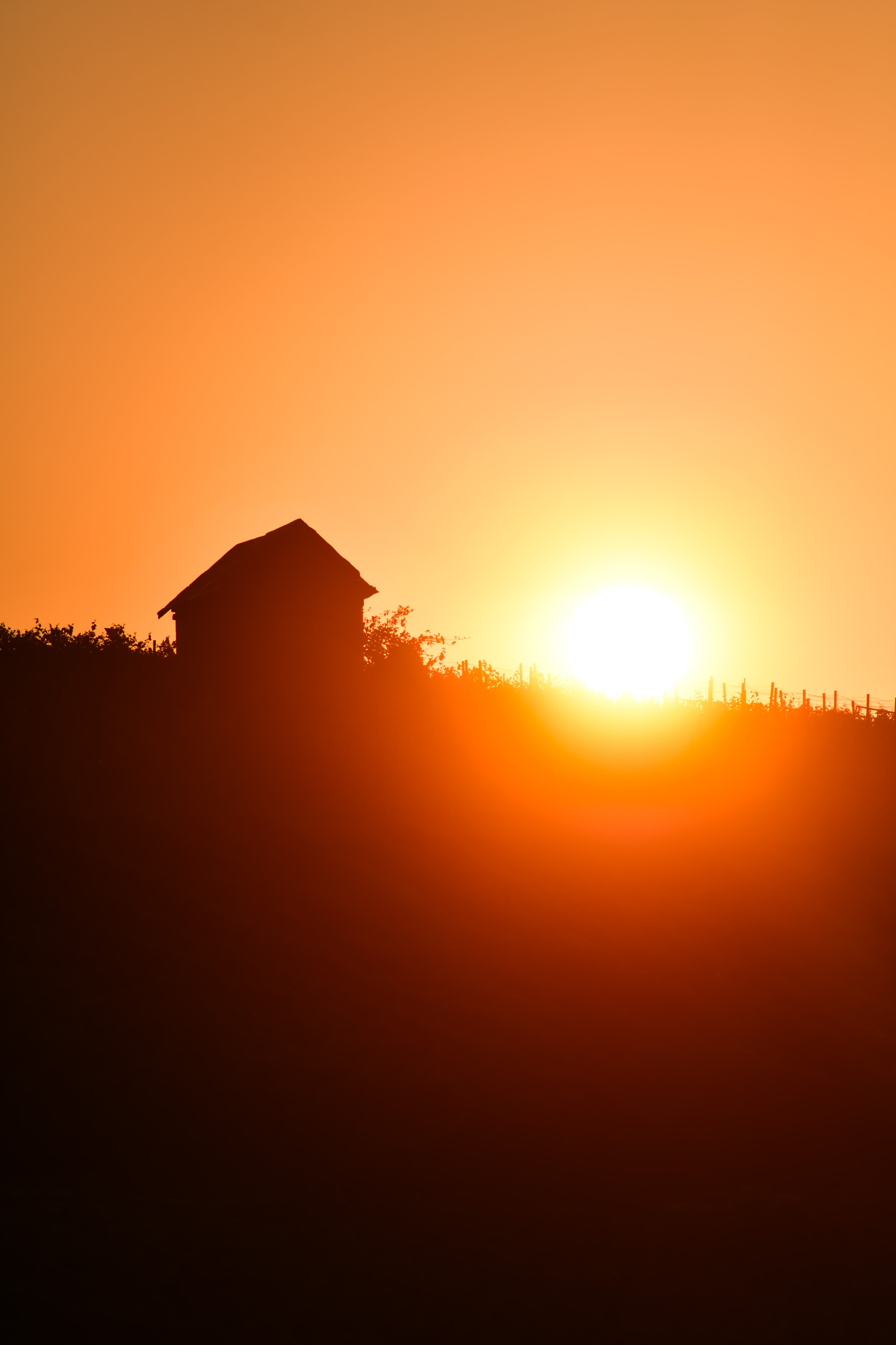 548 - Vignoble Contheysan