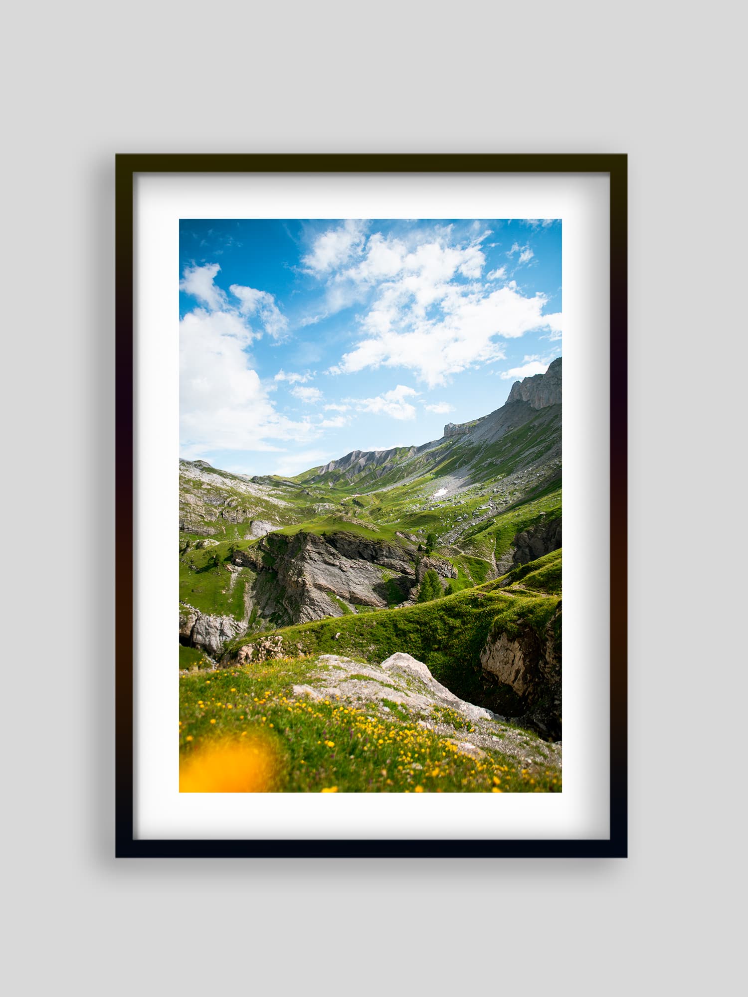 2450 - Tita da Terra Naire