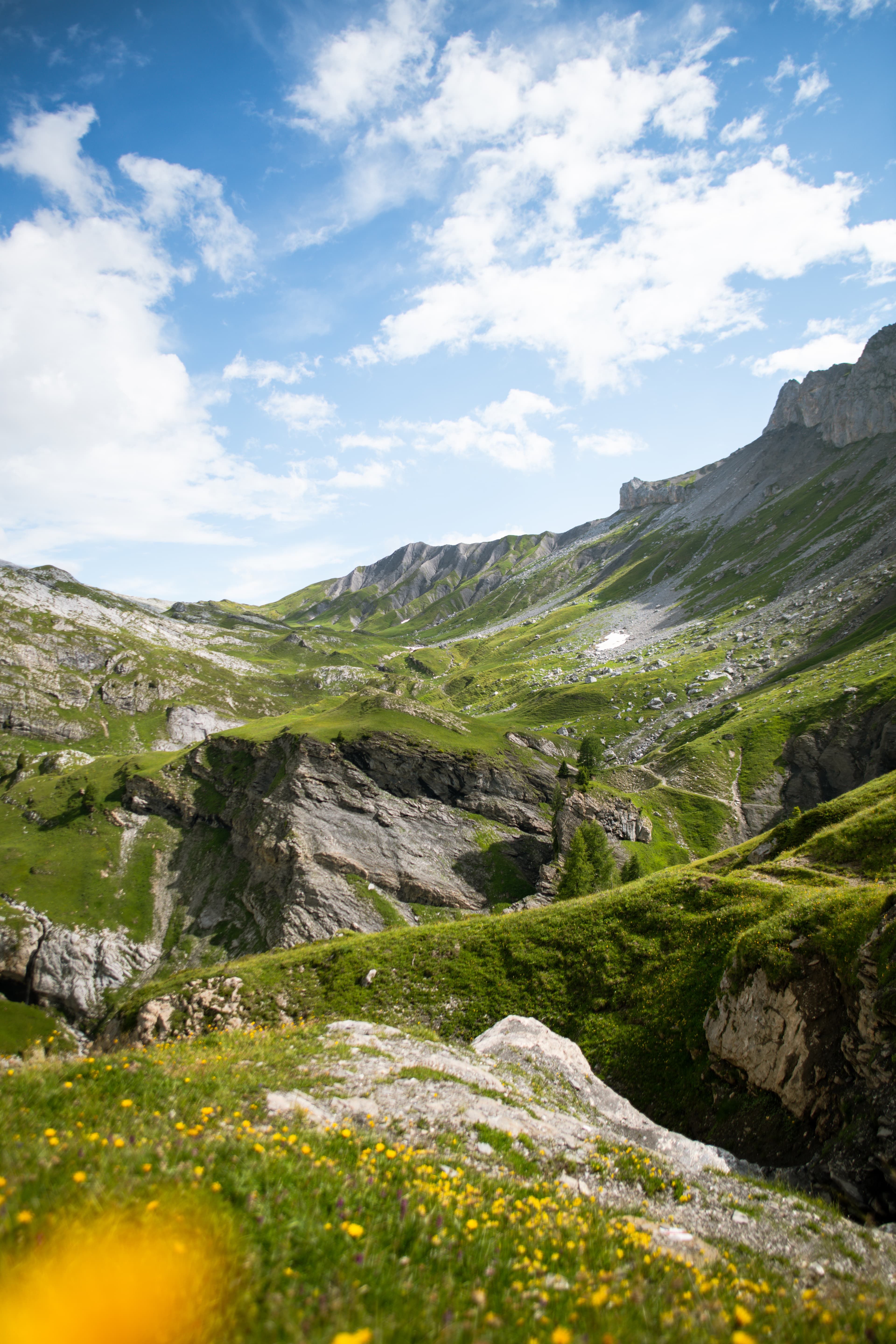 2450 - Tita da Terra Naire