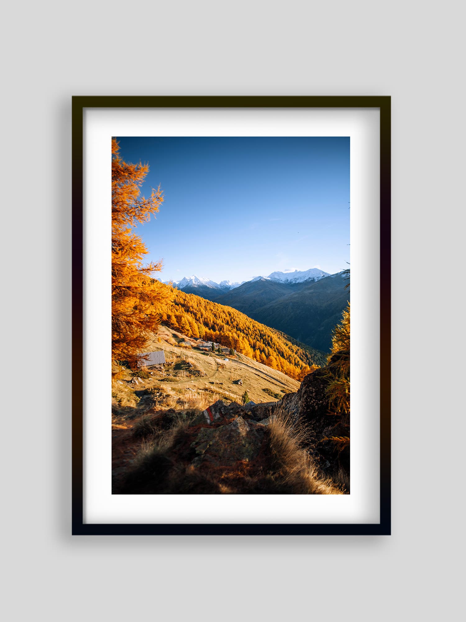 2152 - Alpage de Loveignoz