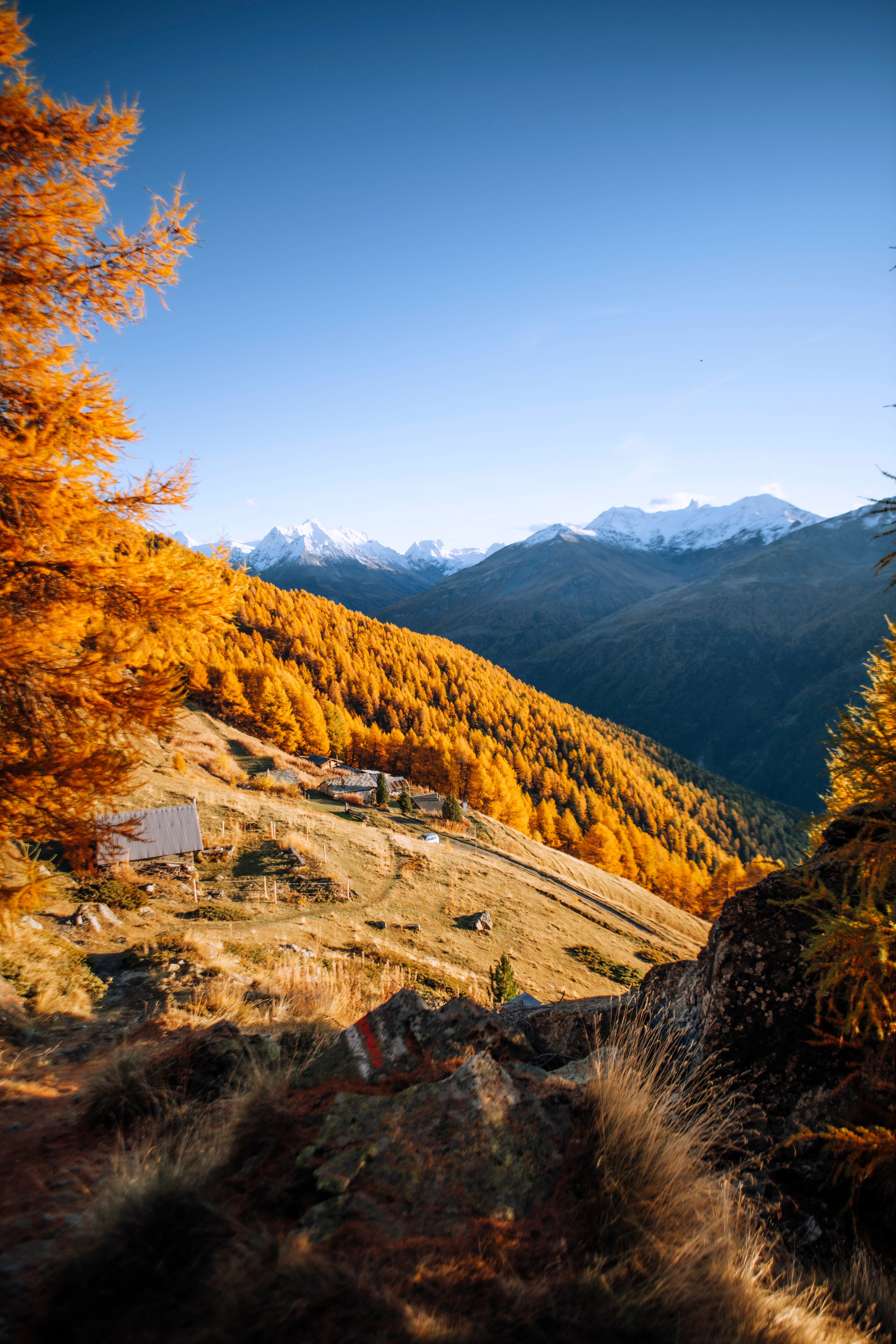 2152 - Alpage de Loveignoz