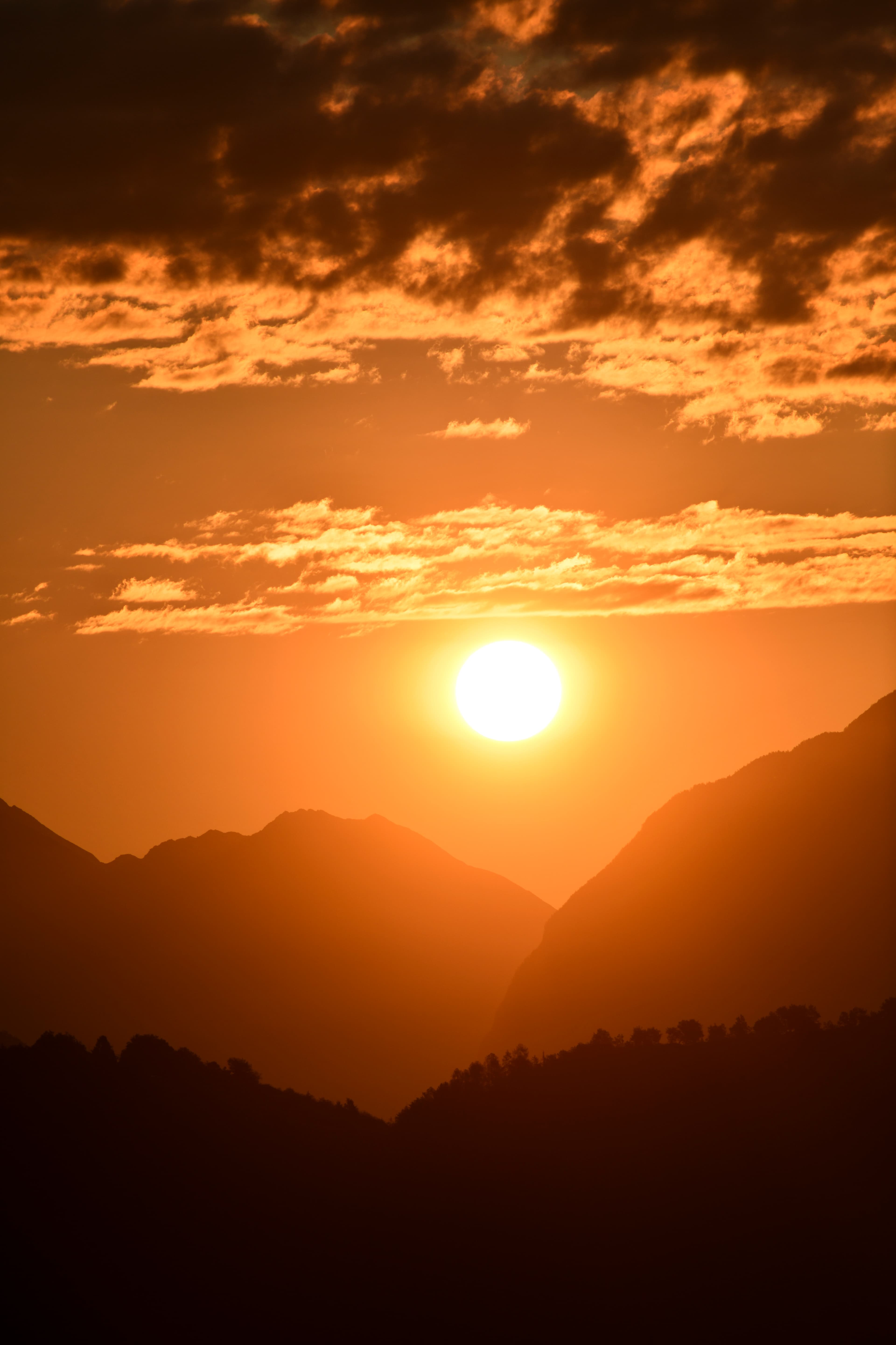 547 - Vallée du Rhône