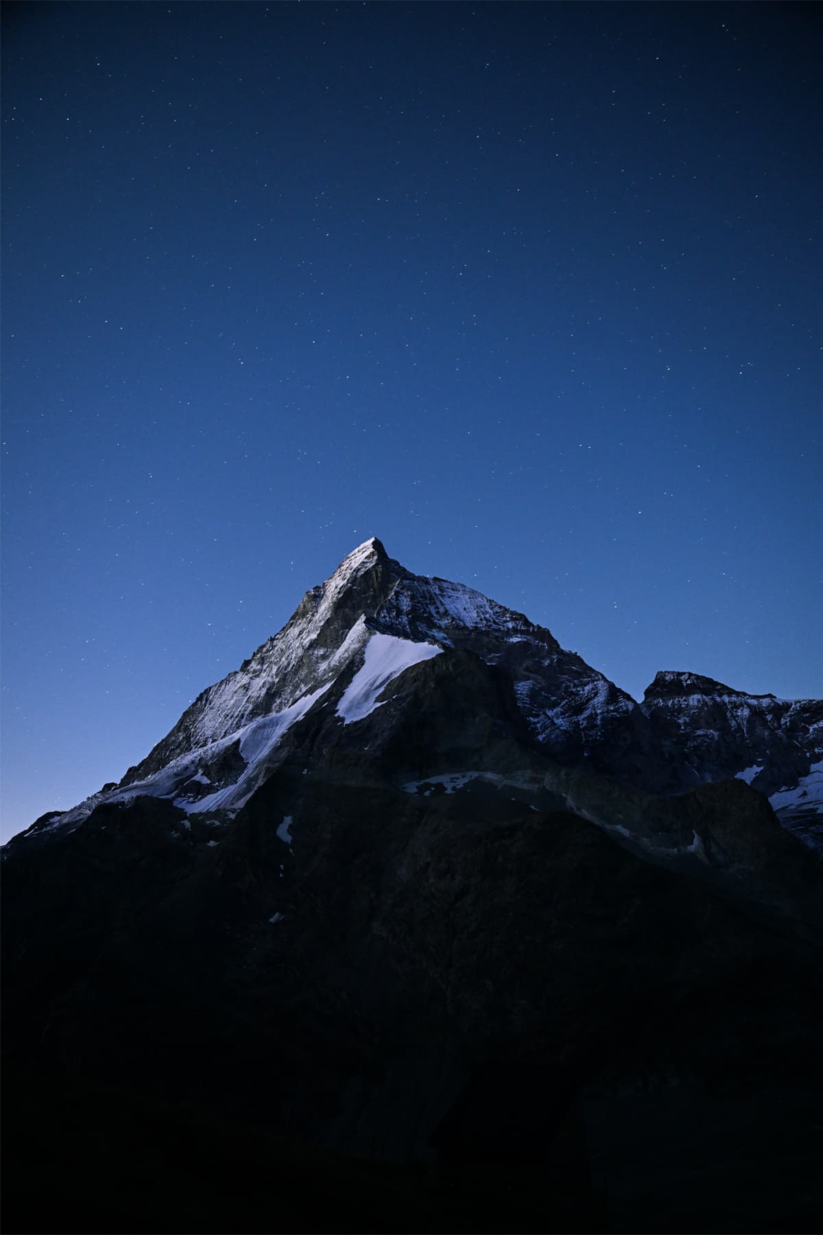 2697 - Cervin étoilé