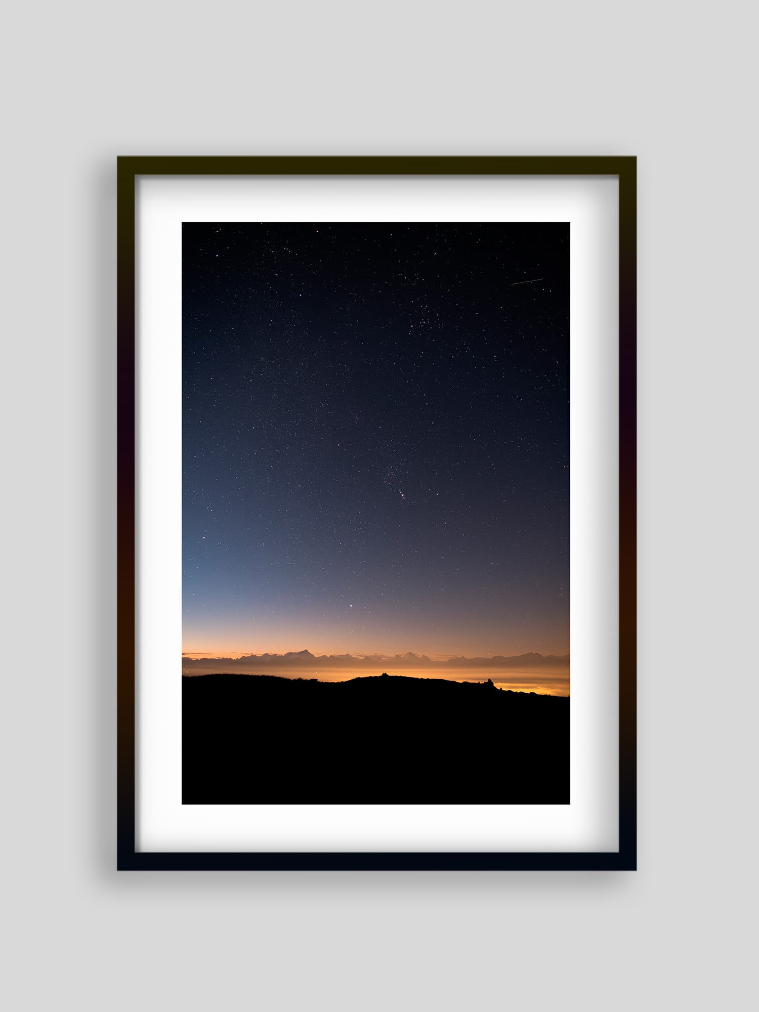 2115 - Alpage de Flore étoilé