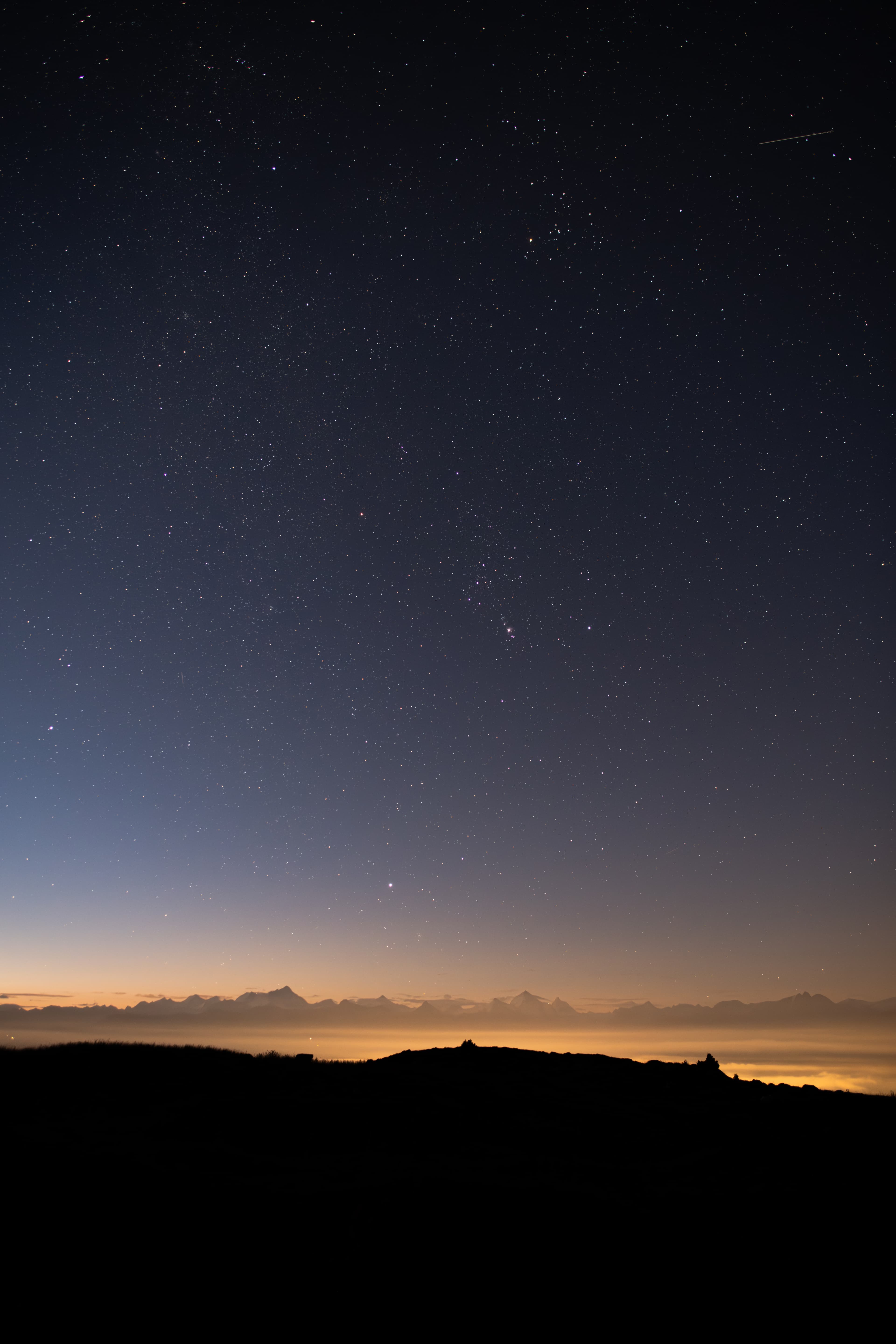 2115 - Alpage de Flore étoilé