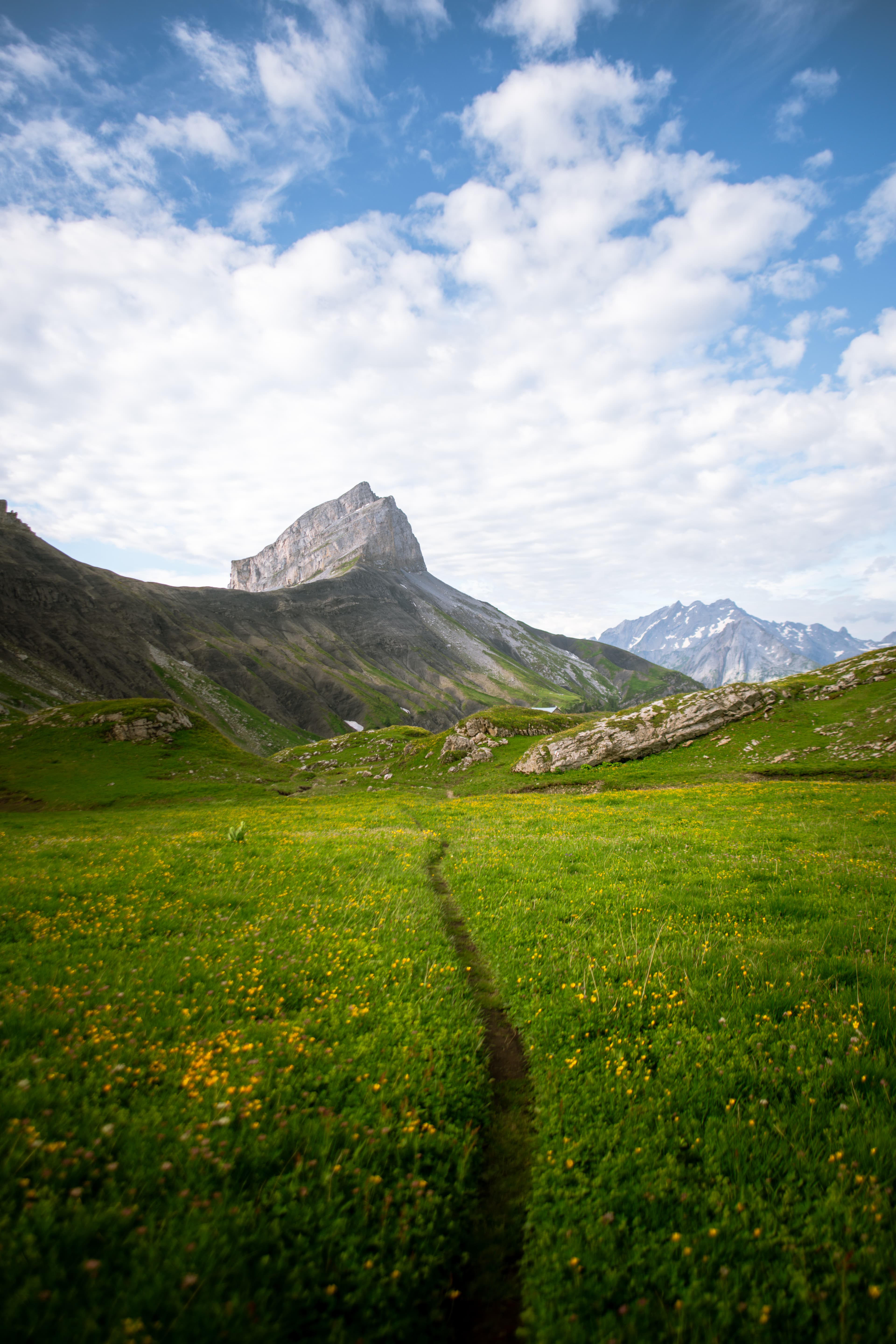 2193 - La Chaux de Miex