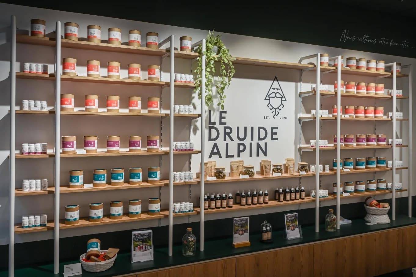 Le Druide Alpin — vedette 3