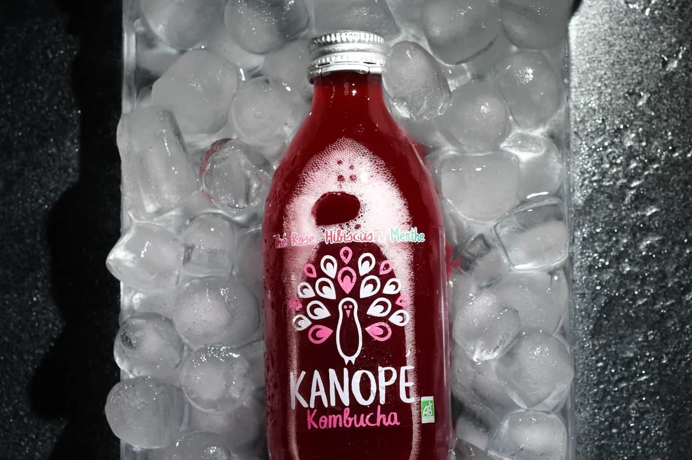 Kanope Kombucha — vedette 1