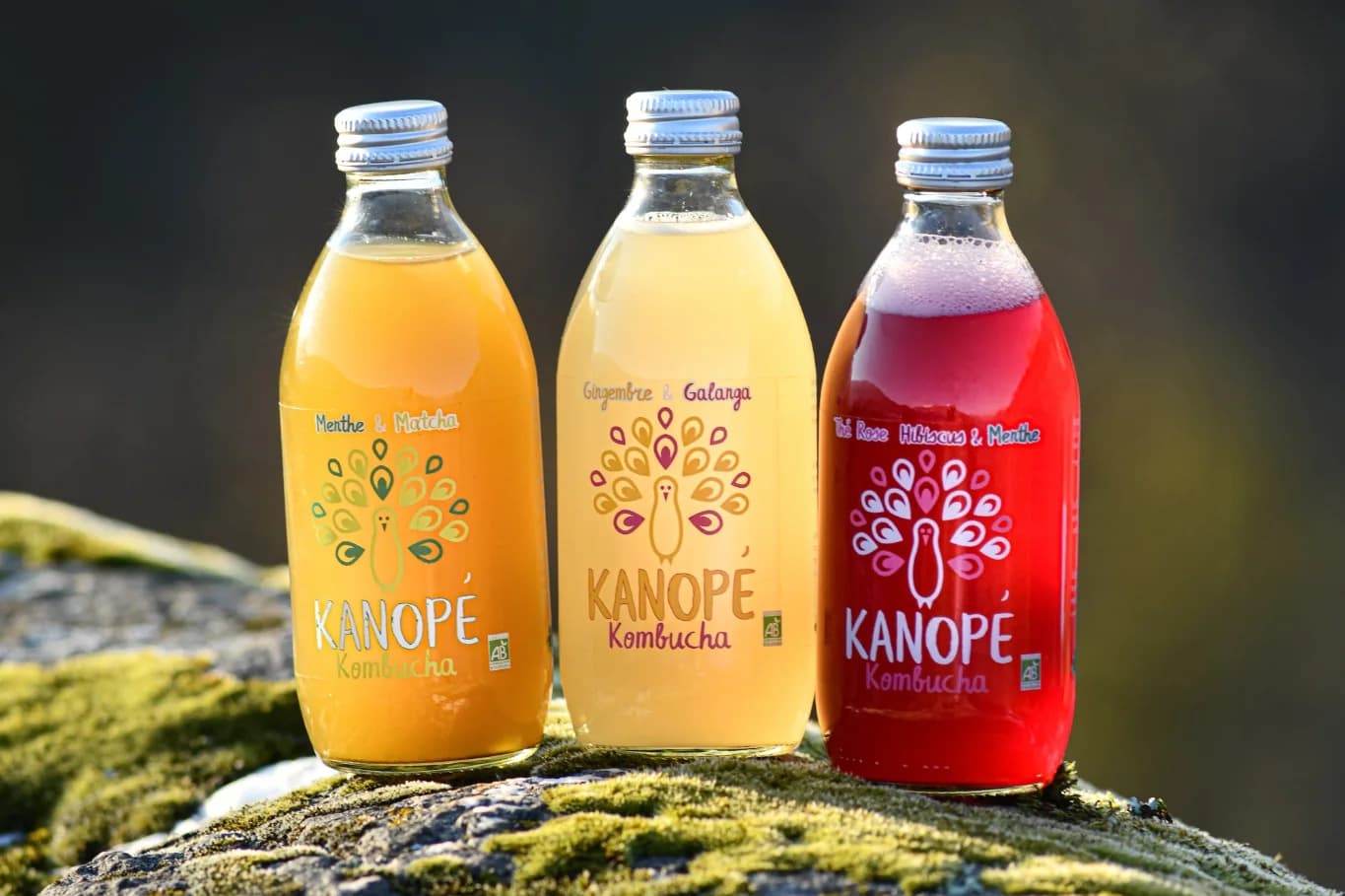 Kanope Kombucha — vedette 2