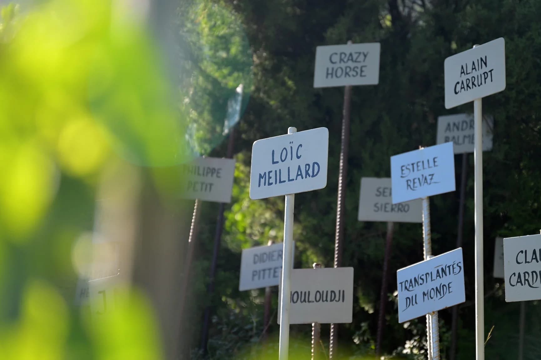 La Vigne à Farinet — vedette 3