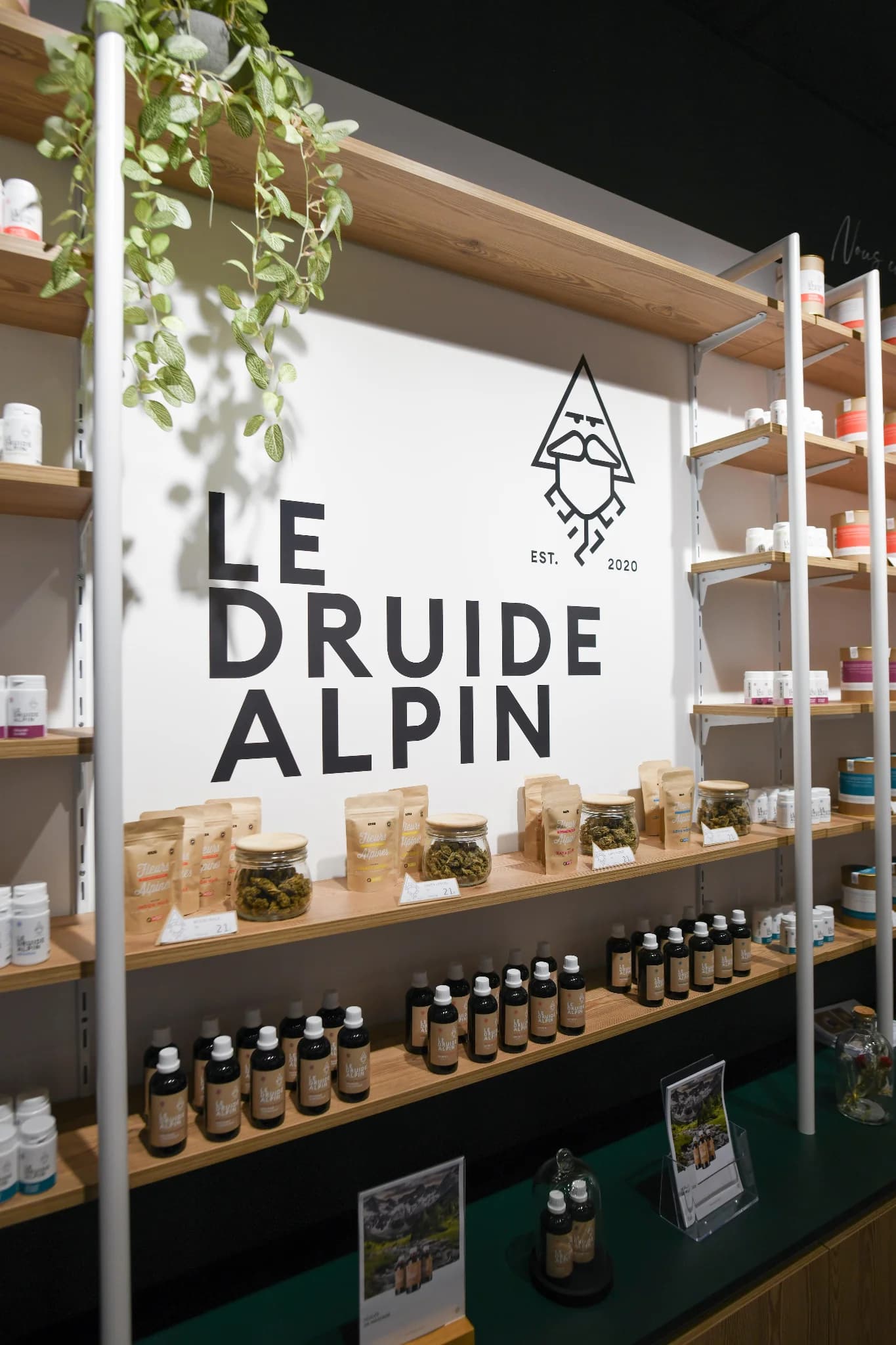 Le Druide Alpin — 7