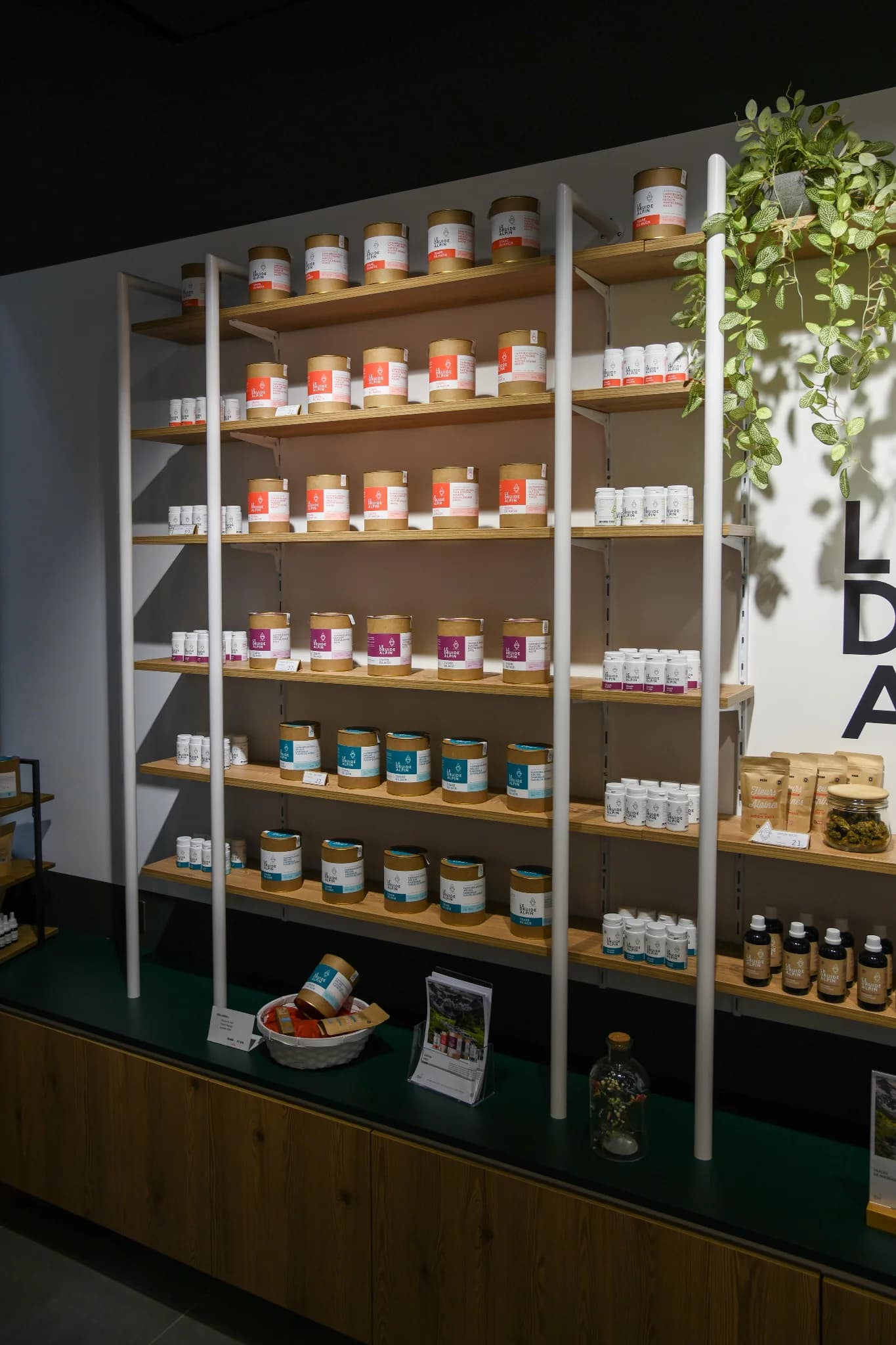 Le Druide Alpin — 6