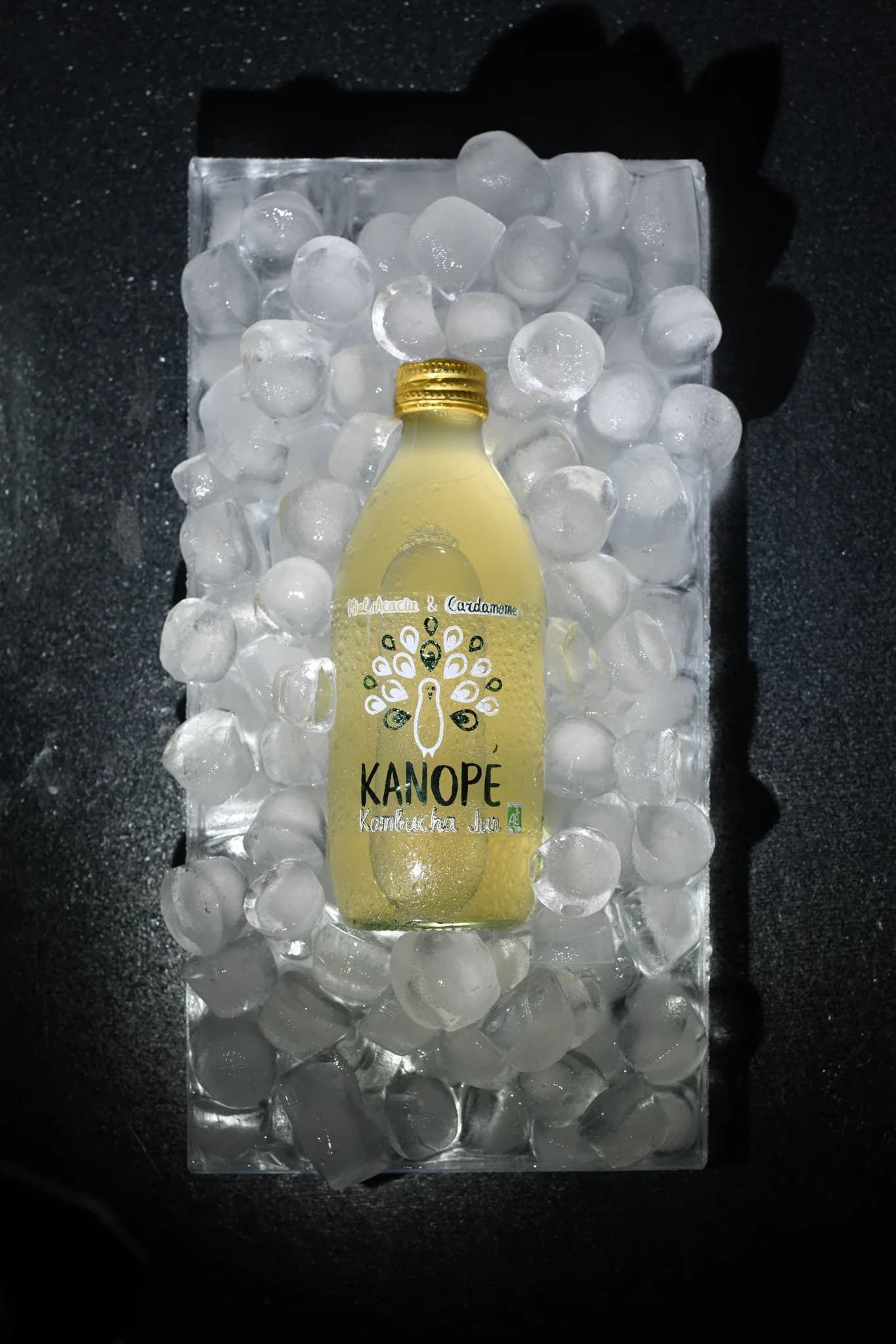 Kanope Kombucha — 5