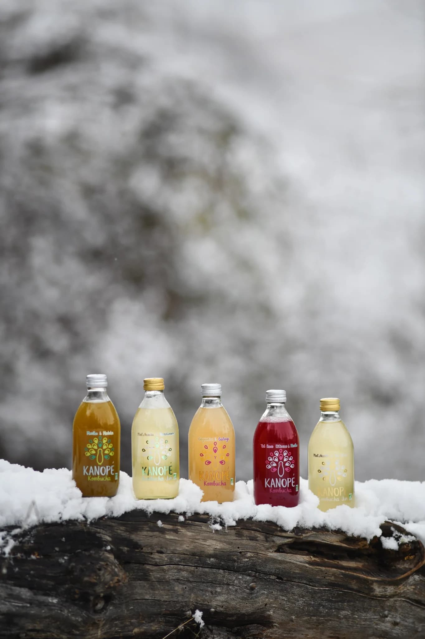 Kanope Kombucha — 7