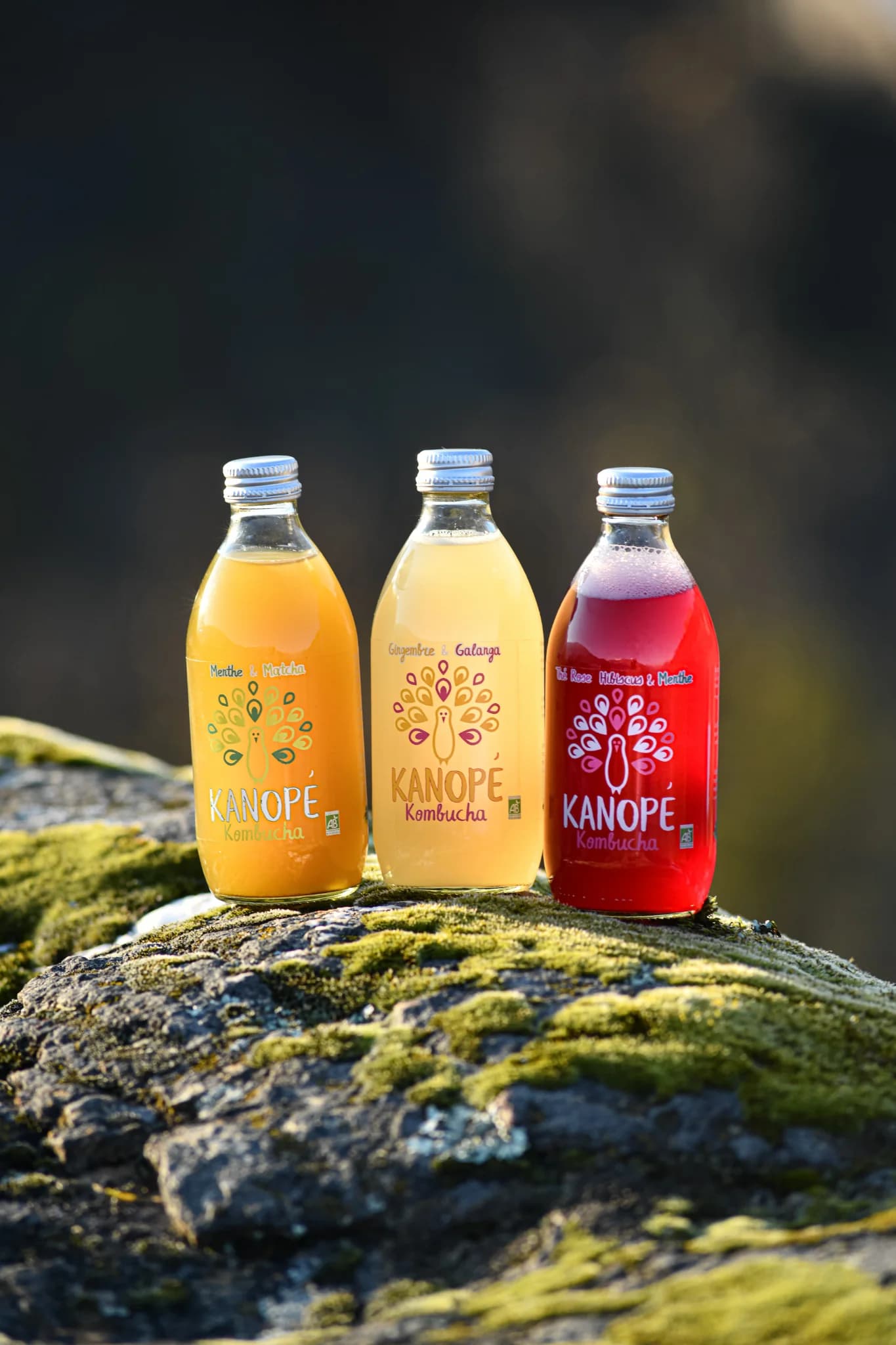 Produits | Packshot — 3