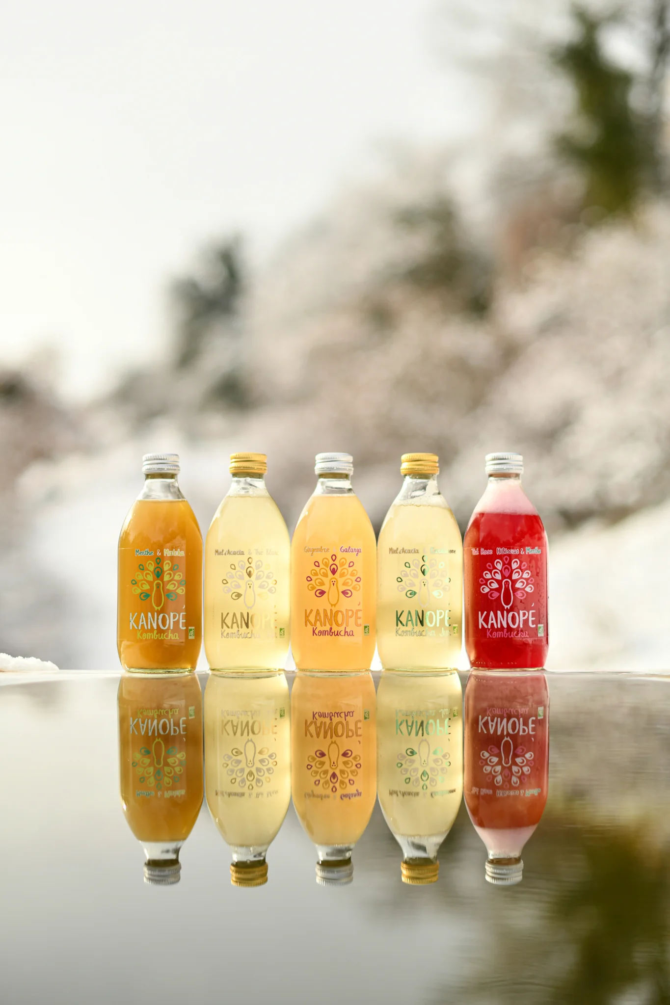 Kanope Kombucha — 11