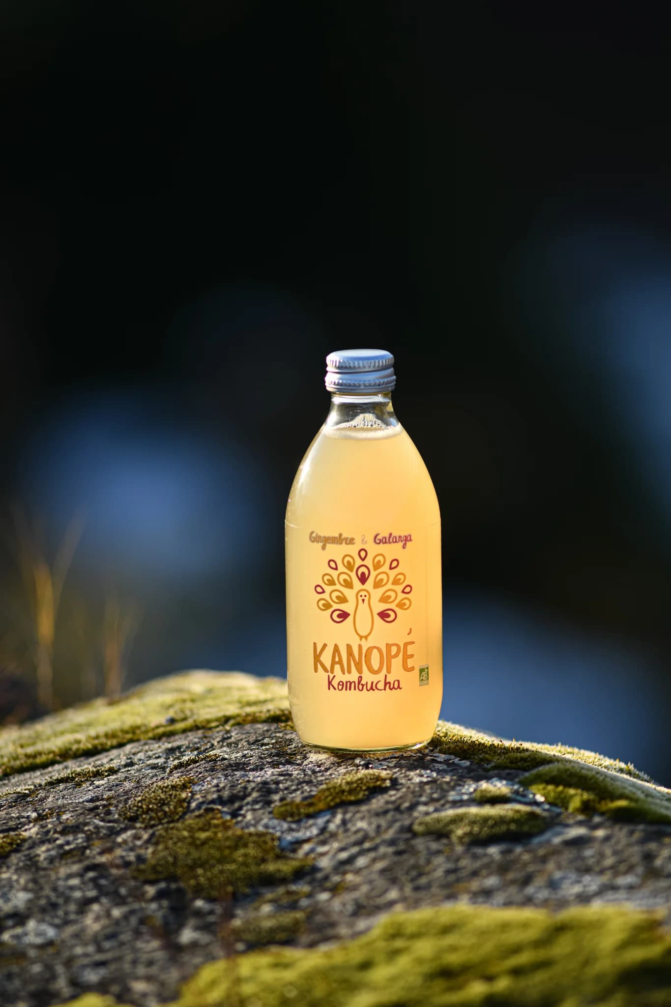 Kanope Kombucha — 6