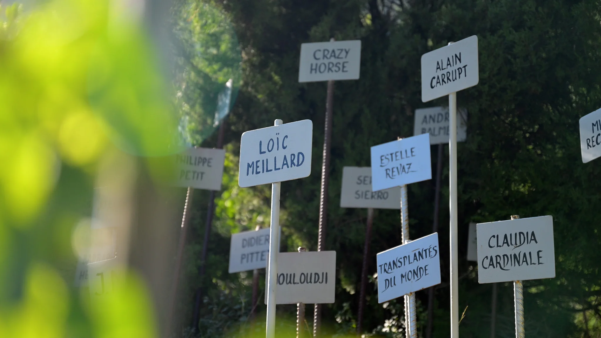 La Vigne à Farinet — 16