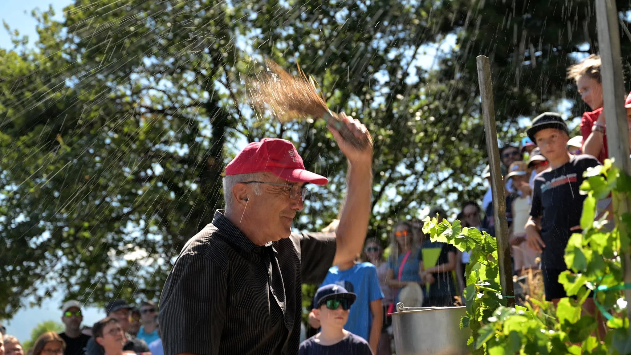 La Vigne à Farinet — 12
